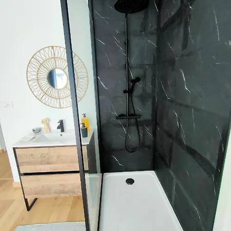 Apartment La Lilloise D'ascq Gd Stade Mauroy *