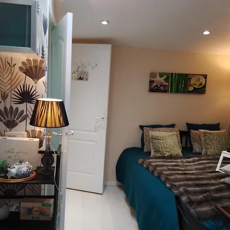 Appartement La Lilloise D'ascq Gd Stade Mauroy *