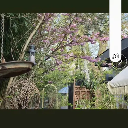 La Lilloise D'ascq Gd Stade Mauroy Villeneuve-d'Ascq