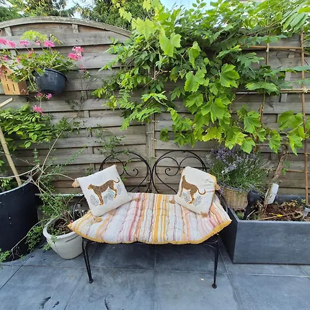 La Lilloise D'ascq Gd Stade Mauroy * Villeneuve-d'Ascq